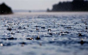 雨肖是哪几个生肖，什么生肖代表雨