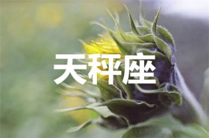 天秤座2021年运势详解