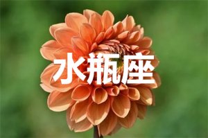 水瓶座2021年运势详解