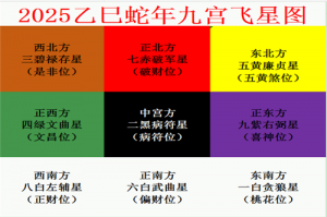 苏民峰2025年家居风水吉凶方位解析，蛇年九星飞宫图解