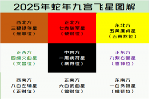 李居明2025年九宫图风水方位图解，乙巳蛇年家居风水布置图